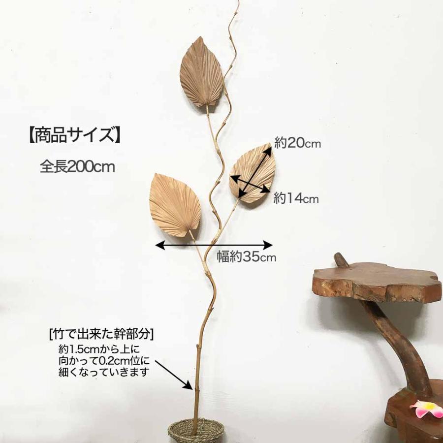アジアン アートプランツ パームリーフ パルム 2本1セット 200cm