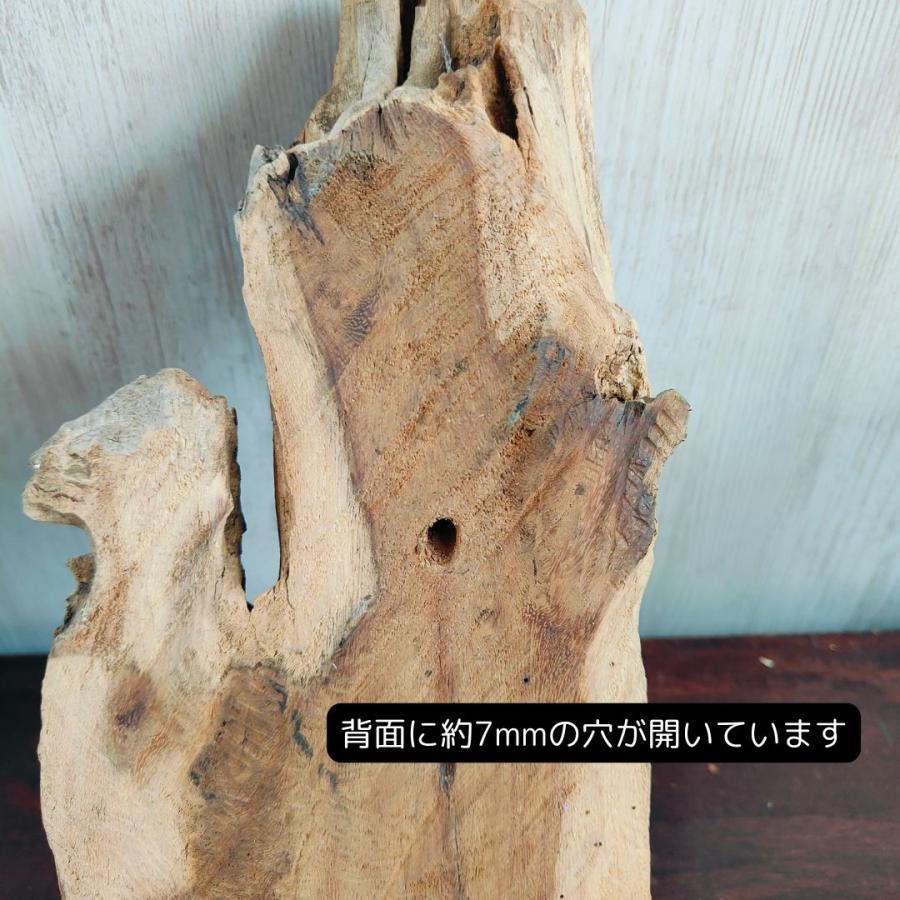 流木ガラス ドリフトウッド 壁掛け 花瓶 フラワーベース 土台つき 海外