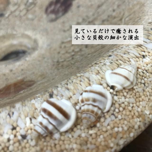 貝殻 ボウル型 レイアウト用品 大きめ42センチ 【公式通販】