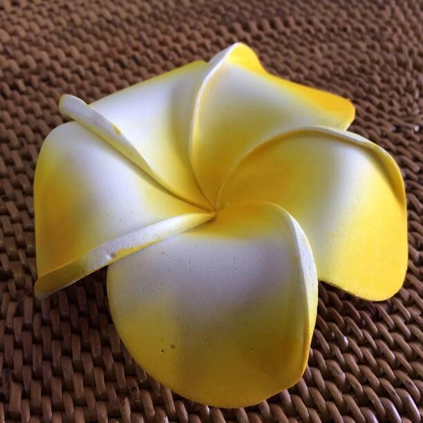 プルメリア 造花 L 5色 10cm スポンジフラワー アジアンインテリア