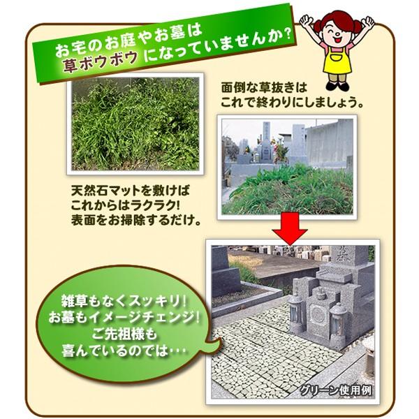 セール価格 公式 ガーデニング 用品 ジョイントタイル 屋外 ガーデンタイル 庭 おしゃれ タイル マット リフォーム Diy 敷石 雑草対策 6枚 グリーン 6個セット 同梱区分直送ab101 枚数限定 Mercurytechnologies Mn Com