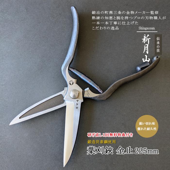 庭の剪定ばさみ果樹園の園芸鋏、庭の剪定ばさみ 剪定ばさみ プロ仕様 高耐久 剪定鋏 園芸用はさみ 果樹 庭木の