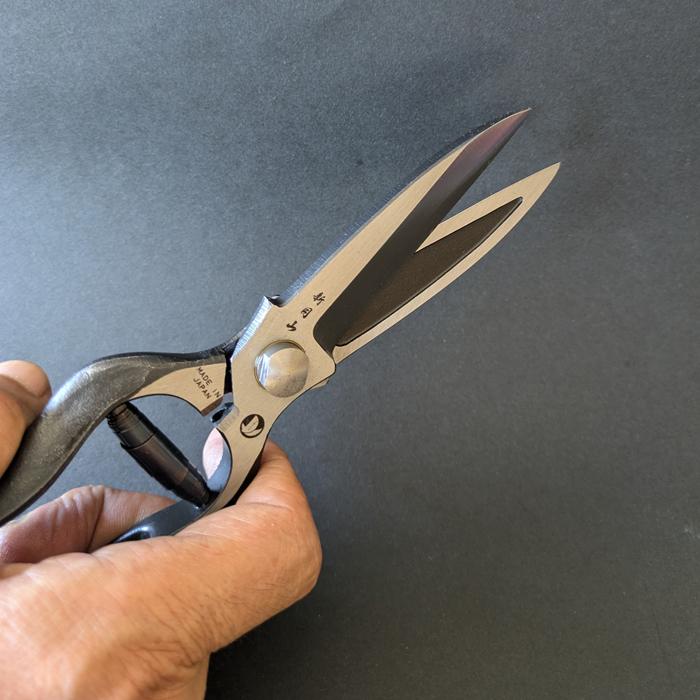 剪定ばさみ 剪定バサミ 剪定はさみ 剪定鋏 プロ用 日本製 葉刈鋏