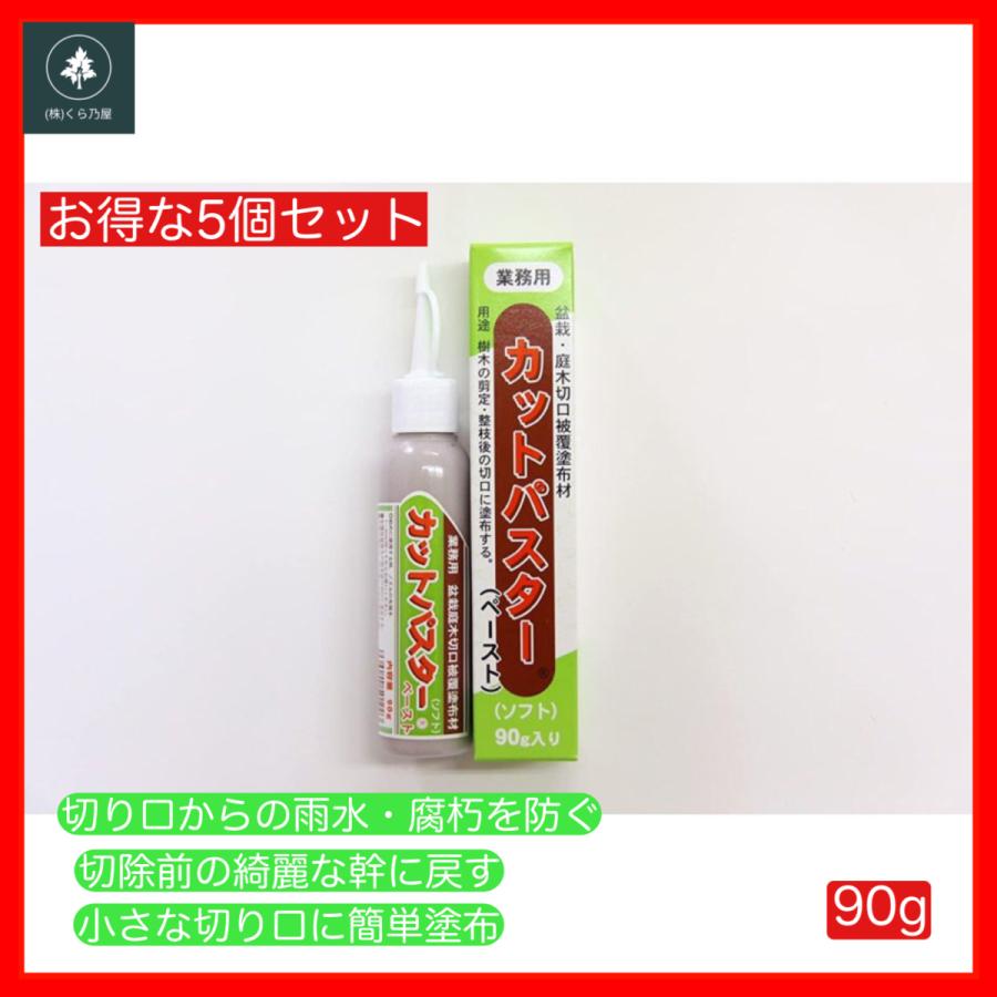 癒合剤 ガジュマル 切り株 ハナゲン カットパスターペースト90ｇ 5個セット Cut90g 5 Kurano 通販 Yahoo ショッピング