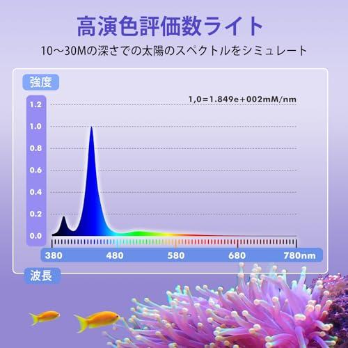 海水魚用品 AGH30 海水魚用品 AGH30 海水魚用品 AGH30 商品 – アクアギフト-水槽館