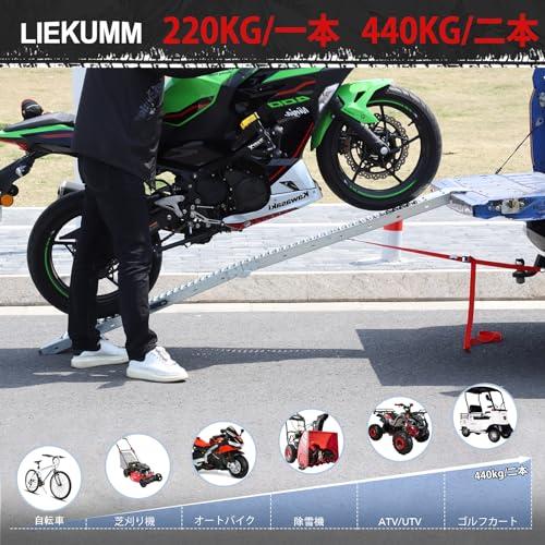 LIEKUMM ラダーレール 2本 長さ170*幅22cm 耐荷重440kg スチール製