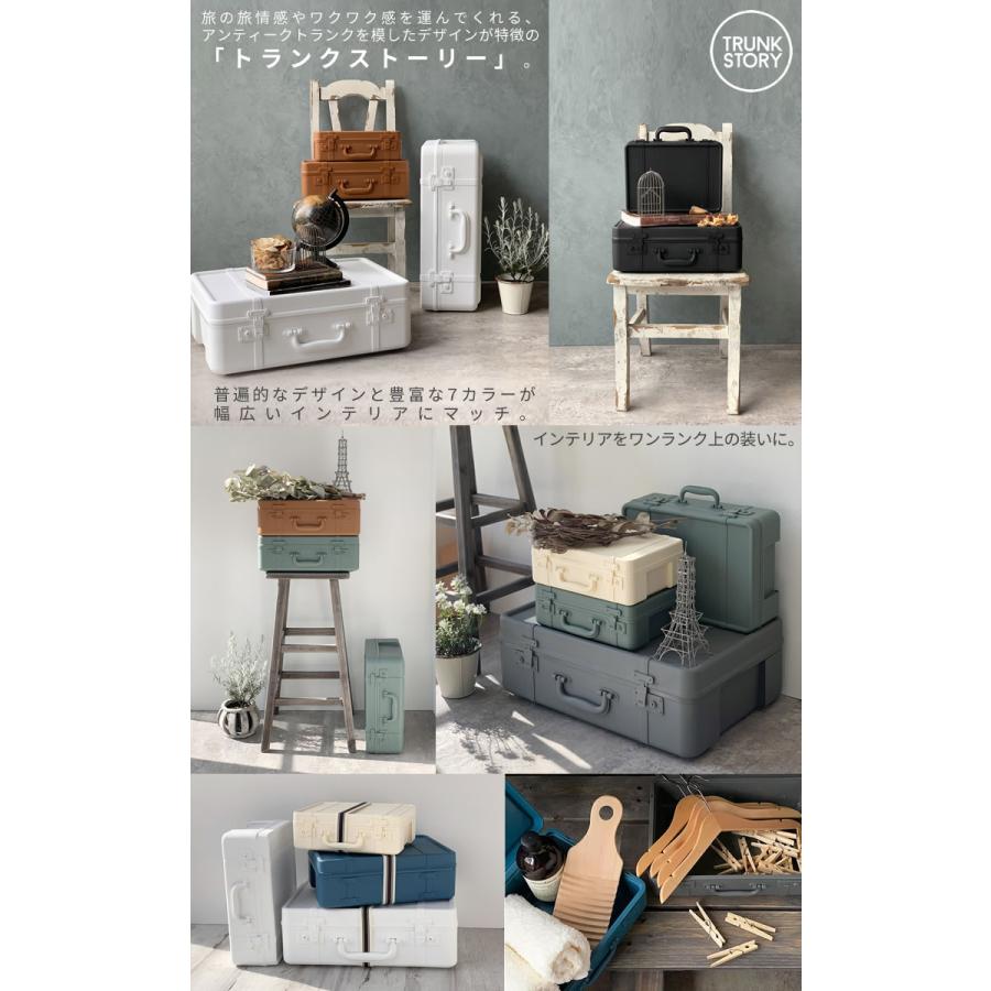 トランク型アイアンバーディスプレイボックス(ブラウン