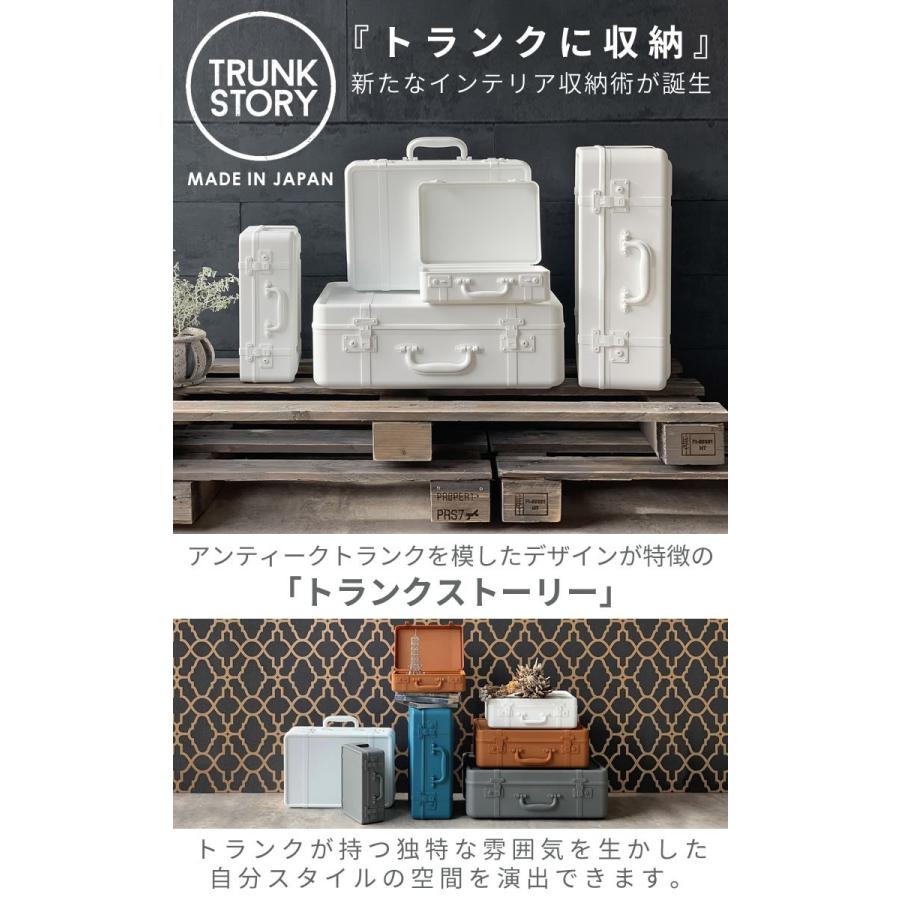 八幡化成 トランクストーリー TRUNK STORY マルチディスプレイ収納 L