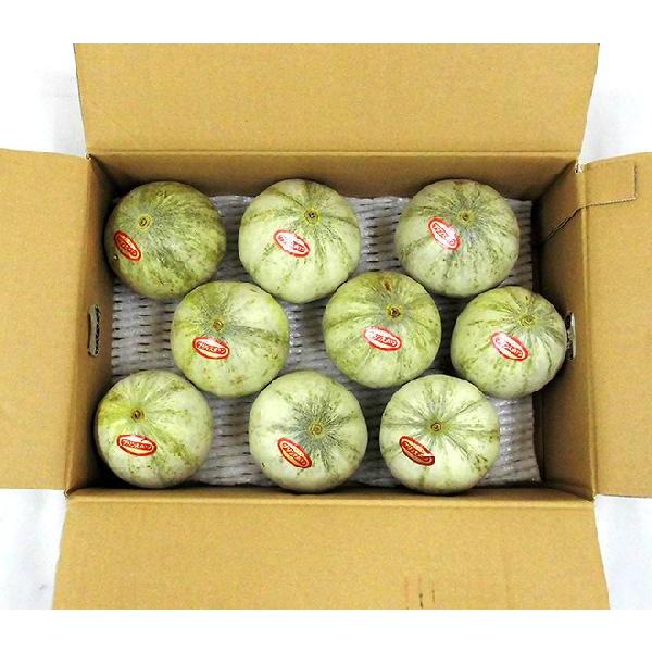 メロン ”プリンスメロン” 訳あり 6〜11玉前後 風袋込約4kg 産地厳選