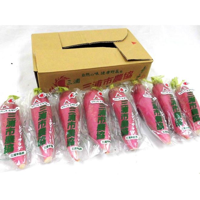 送料無料 神奈川県三浦半島 レディーサラダ大根 秀品 8 10本前後 約3kg 予約 11月下旬以降 Lady3kg くらし快援隊 通販 Yahoo ショッピング