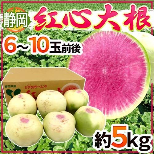 静岡県 ”紅心大根” 6〜10玉前後 約5kg 紅芯大根【予約 11月下旬以降
