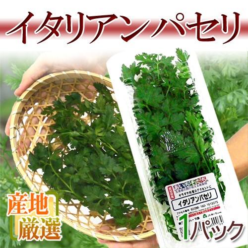 産地厳選 ”イタリアンパセリ” パック入り 1pc : くらし快援隊 - 通販