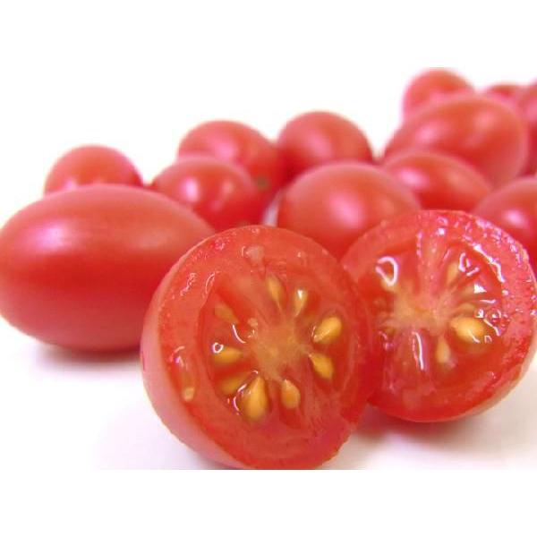 高糖度フルーツトマト 静岡県産 ”アメーラルビンズ” 1箱 10pc入り 化粧