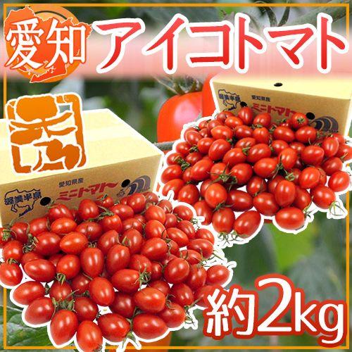 愛知県産 ”アイコトマト” 秀品 約2kg【予約 11月下旬以降】 送料無料