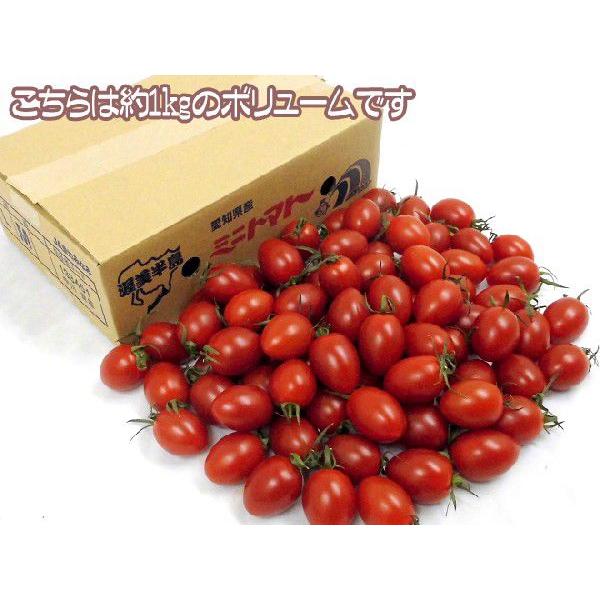 愛知県産 ”アイコトマト” 秀品 約3kg【予約 11月下旬以降】 送料無料