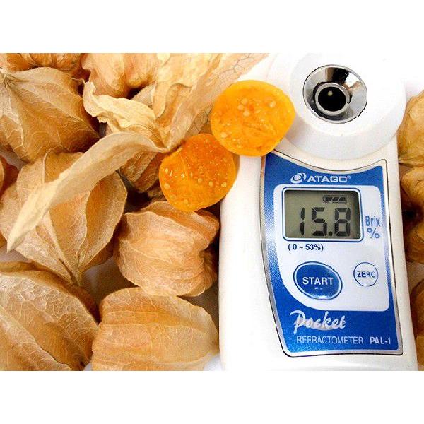 食用ホオズキ” 12〜20粒 風袋込約100g 産地厳選 ほおずき ストロベリー