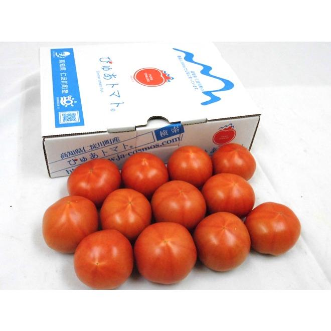 新版 コッポラ クラッシュトマト 5kg×3袋 トマト