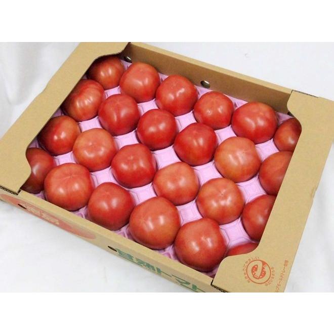 訳あり ”桃太郎トマトor王様トマト ほか” 約4kg 大きさおまかせ 産地厳選【予約 5月中旬以降】 送料無料|kurashi-kaientai|02
