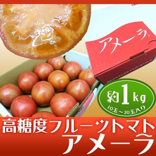 静岡県産 ”高糖度フルーツトマト アメーラ” 10〜20個前後 約1kg 化粧箱入り【予約 入荷次第発送】 送料無料｜kurashi-kaientai