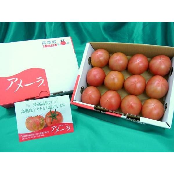 静岡県産 ”高糖度フルーツトマト アメーラ” 10〜20個前後 約1kg 化粧箱入り【予約 入荷次第発送】 送料無料｜kurashi-kaientai｜02