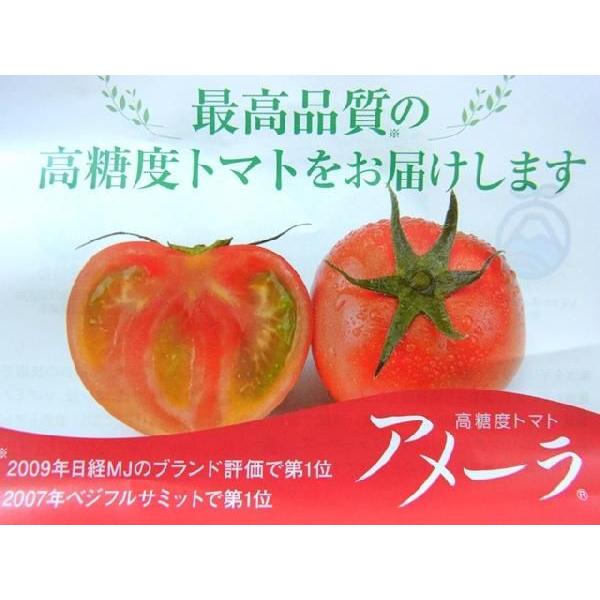 静岡県産 ”高糖度フルーツトマト アメーラ” 10〜20個前後 約1kg 化粧箱入り【予約 入荷次第発送】 送料無料｜kurashi-kaientai｜04