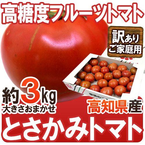 高知県夜須産 高糖度 夜須のフルーツトマト ”とさかみトマト” 約 高知県夜須産 高糖度 夜須のフルーツトマト ”とさかみトマト” 約