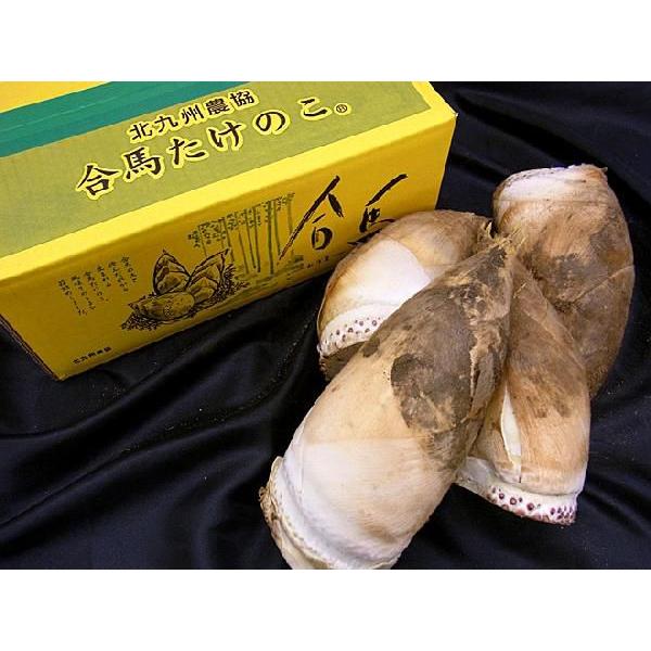 福岡 合馬産 ”たけのこ” 2〜8本 約4kg 化粧箱入り 等級 黄 緑 福岡 合馬産 ”たけのこ” 2〜8本 約4kg 化粧箱入り 等級 黄 緑