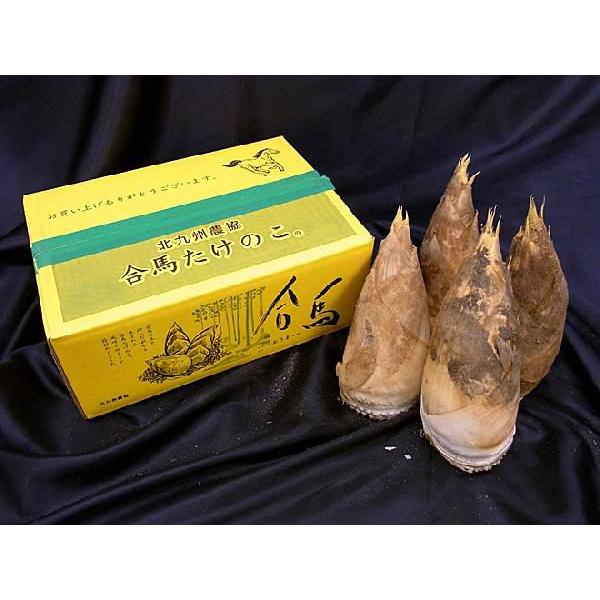 福岡 合馬産 ”たけのこ” 2〜8本 約4kg 化粧箱入り 等級 黄 緑 福岡 合馬産 ”たけのこ” 2〜8本 約4kg 化粧箱入り 等級 黄 緑