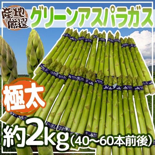 極太グリーンアスパラガス” 40〜60本前後 約2kg 北海道/長野/広島/佐賀