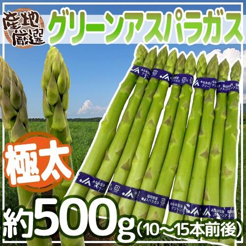極太グリーンアスパラガス” 10〜15本前後 約500g 北海道/長野/広島