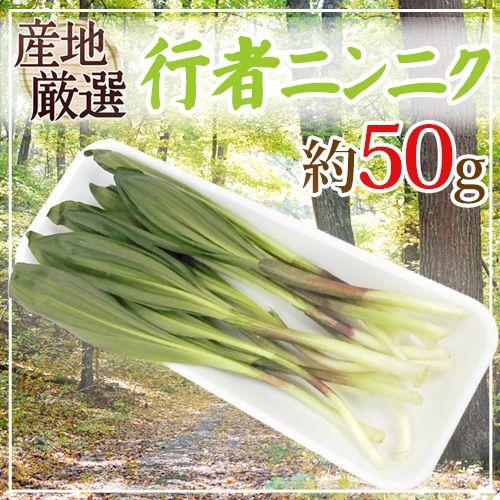 行者ニンニク（ぎょうじゃにんにく）” 約50g 大きさおまかせ 山菜