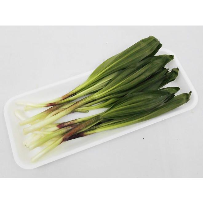 行者ニンニク(ぎょうじゃにんにく)” 約50g 大きさおまかせ 行者ニンニク(ぎょうじゃにんにく)” 約50g 大きさおまかせ