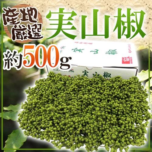実さんしょ”（生山椒） 1箱 約500g【予約 5月中旬以降】 送料無料