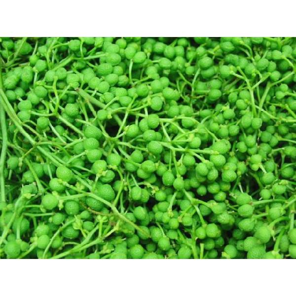実さんしょ”（生山椒） 1箱 約500g【予約 5月中旬以降】 送料無料