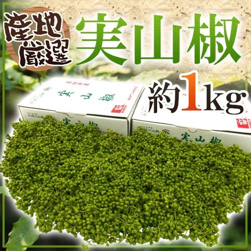 ”実さんしょ”（生山椒） 約1kg【予約 5月中旬以降】（Yahoo!・くらし快援隊）