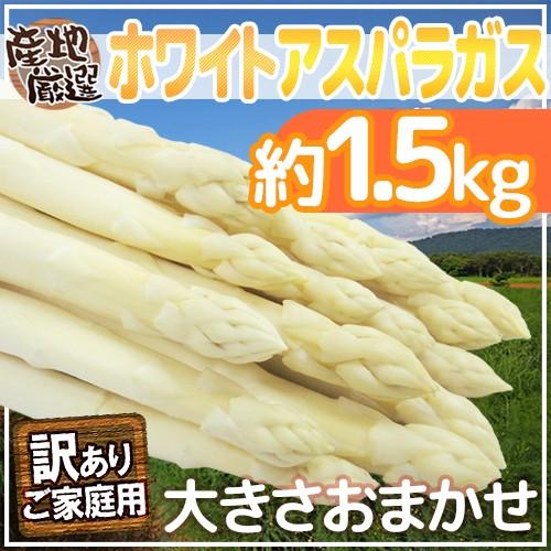 ホワイトアスパラガス” 訳あり 約1.5kg 北海道/長野/広島/佐賀/福岡