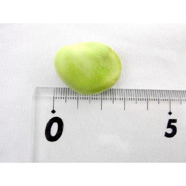 九州・和歌山産他 ”一寸豆(そら豆)” 約2kg 大きさおまかせ 九州・和歌山産他 ”一寸豆(そら豆)” 約2kg 大きさおまかせ