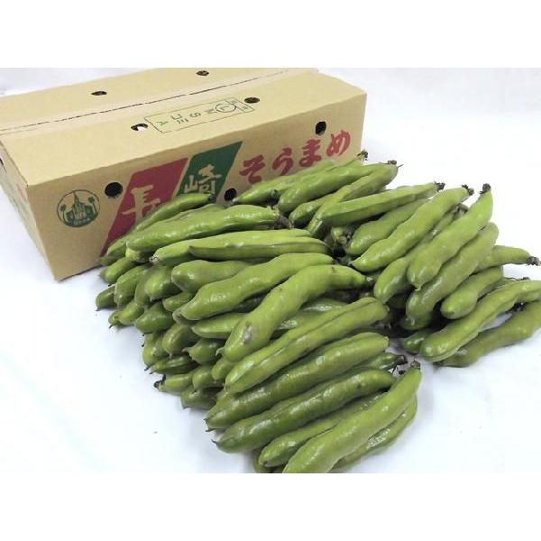 九州・和歌山産他 ”一寸豆(そら豆)” 約4kg 大きさおまかせ 九州・和歌山産他 ”一寸豆(そら豆)” 約4kg 大きさおまかせ