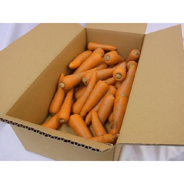 国内産限定！ ”にんじん” 訳あり 約5kg 産地おまかせ 人参 : くらし快
