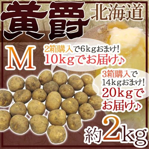 じゃがいも ”北海道 北見産 黄爵” 秀品 Mサイズ 約2kg《2箱購入で10kg