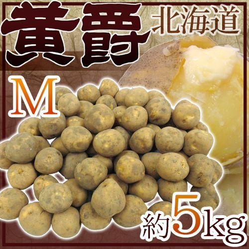 じゃがいも ”北海道 北見産 黄爵” 秀品 Mサイズ 約5kg 男爵芋【予約 8