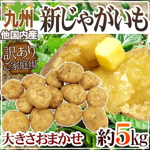 ”新じゃがいも” 訳あり 約5kg 大きさおまかせ 九州ほか国内産【予約 2月下旬以降】 送料無料｜kurashi-kaientai