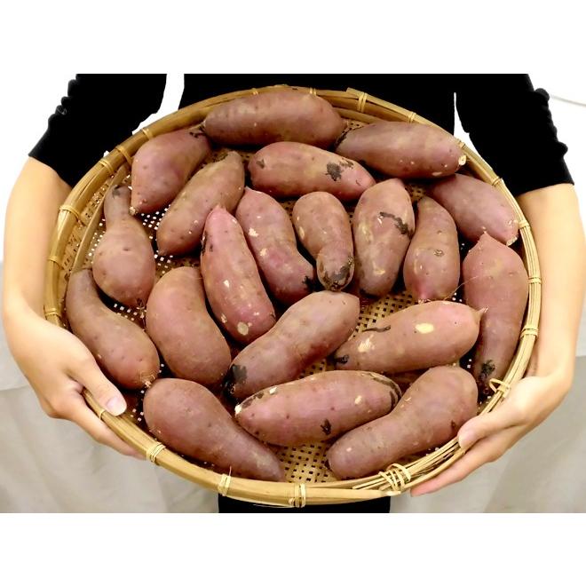 茨城県 旭村 熟成高糖度さつまいも ”旭甘十郎 紅はるか” S/M/L 茨城県 旭村 熟成高糖度さつまいも ”旭甘十郎 紅はるか” S/M/L