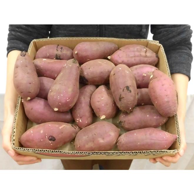茨城県 旭村 熟成高糖度さつまいも ”旭甘十郎 紅はるか 茨城県 旭村 熟成高糖度さつまいも ”旭甘十郎 紅はるか