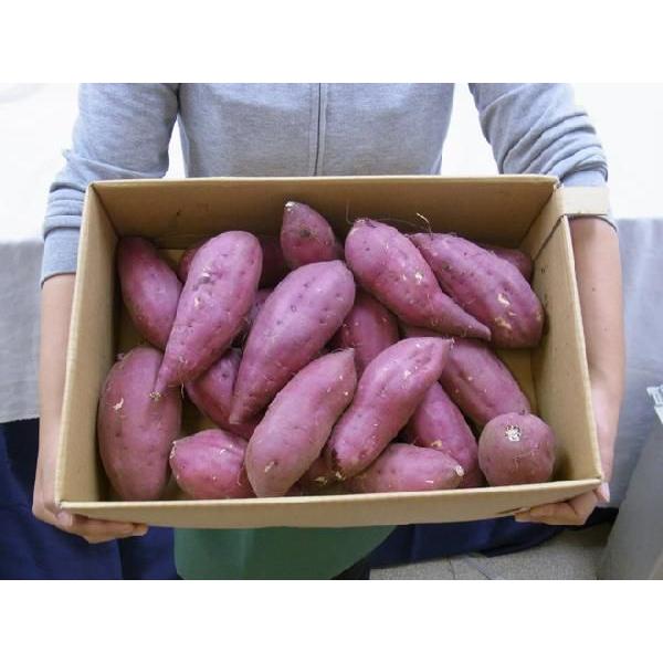 千葉・茨城県産 ”紅あずま” Mサイズ 約5kg さつまいも【予約 入荷次第発送】｜kurashi-kaientai｜03