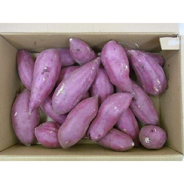 千葉・茨城県産 ”紅あずま” Mサイズ 約5kg さつまいも【予約 入荷次第発送】｜kurashi-kaientai｜06