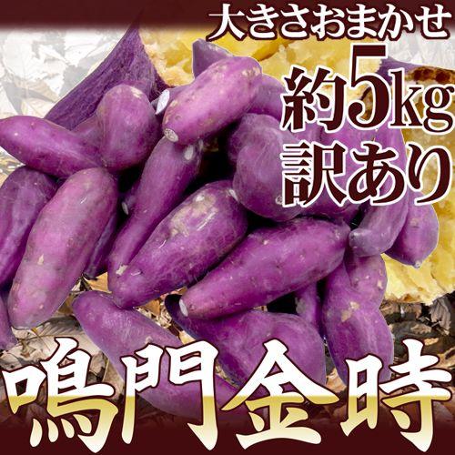 徳島県産 ”鳴門金時” 訳あり 約5kg 大きさおまかせ さつまいも 徳島県産 ”鳴門金時” 訳あり 約5kg 大きさおまかせ さつまいも