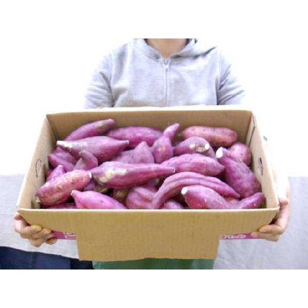 徳島県産 ”鳴門金時” 訳あり 約5kg 大きさおまかせ さつまいも 徳島県産 ”鳴門金時” 訳あり 約5kg 大きさおまかせ さつまいも