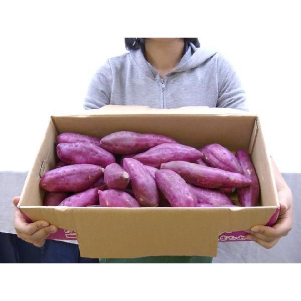 徳島県産 ”鳴門金時 甘姫” 秀品 M〜Lサイズ 約5kg さつまいも 徳島県産 ”鳴門金時 甘姫” 秀品 M〜Lサイズ 約5kg さつまいも