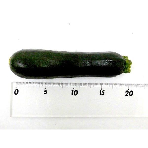 産地厳選 ”ズッキーニ” 秀品 4〜6本前後 約1kg : くらし快援隊 - 通販